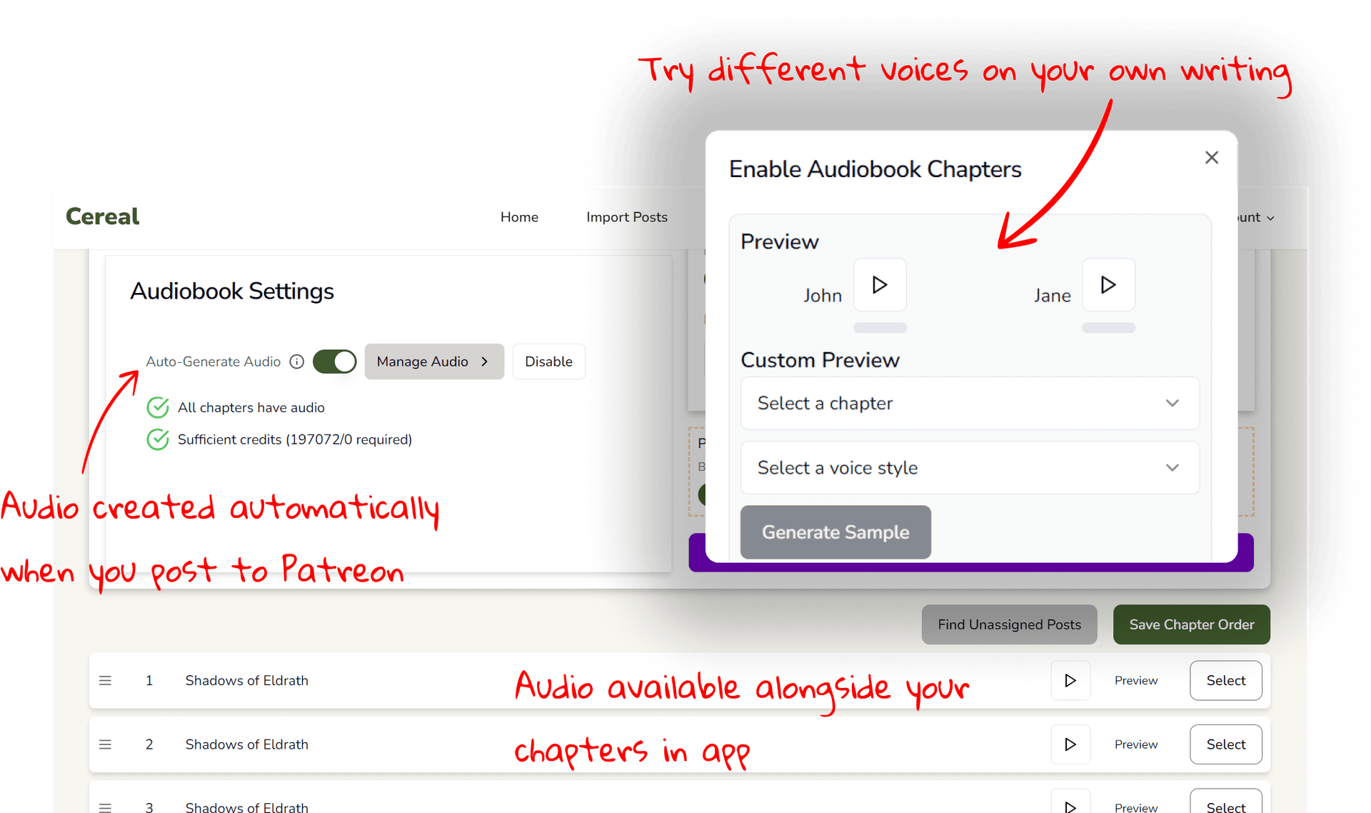 Audiobook setup screenshot